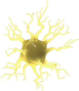 3D visual of the central nervous system and a neuron with degenerating myelin, surrounded by T-cells, B-cells, Macrophages, Astrocytes and Microglial cells.