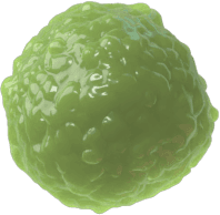 3D visual of the central nervous system and a neuron with degenerating myelin, surrounded by T-cells, B-cells, Macrophages, Astrocytes and Microglial cells.