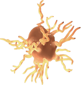 Microglia