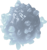 3D visual of the central nervous system and a neuron with degenerating myelin, surrounded by T-cells, B-cells, Macrophages, Astrocytes and Microglial cells.
